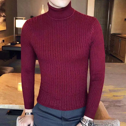 Men Casual Style Wool Turtleneck Warm Cotton Sweaters