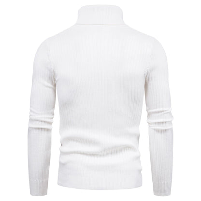 Men Turtleneck Sweater Warm Pullover Knitted