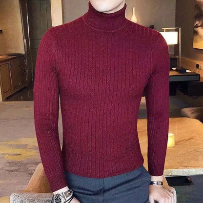 Men Casual Style Wool Turtleneck Warm Cotton Sweaters