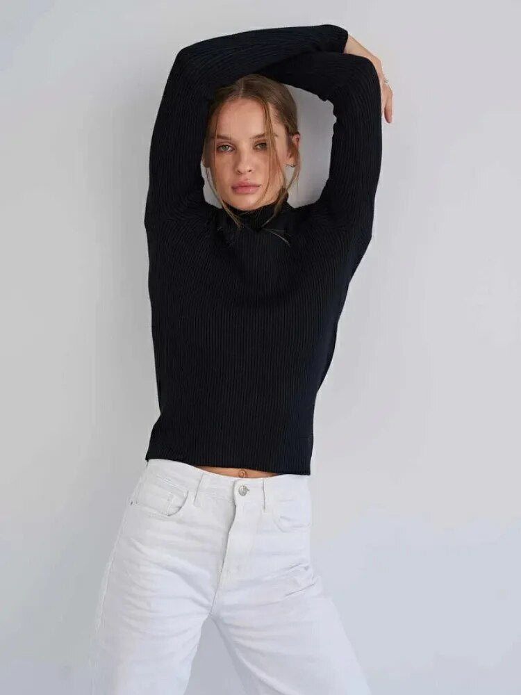 Short Turtleneck Sweaters Slim Pullover Knitted Soft Warm