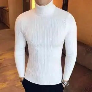 Men Casual Style Wool Turtleneck Warm Cotton Sweaters