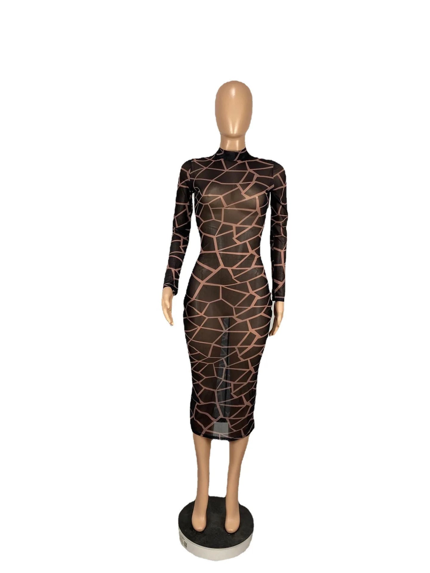 Printed Mesh Crew Neck Long Sleeve Maxi Dress